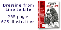 Drawing from Line to Life - How-to-Draw book